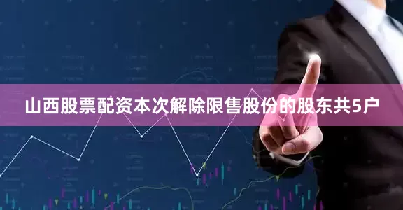 山西股票配资本次解除限售股份的股东共5户