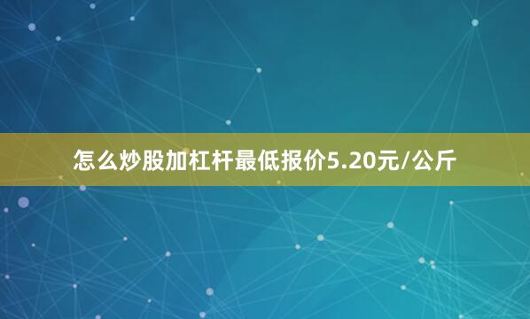 怎么炒股加杠杆最低报价5.20元/公斤